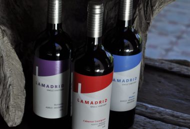 Lamadrid 818Dic 2020 Lamadrid 818Dic 2020